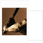 Bat in Batter's Hands by Anonymous