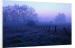 Meadow in the Morning Mist by Anonymous