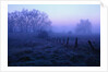 Meadow in the Morning Mist by Anonymous
