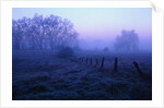 Meadow in the Morning Mist by Anonymous