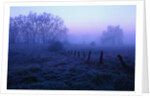 Meadow in the Morning Mist by Anonymous