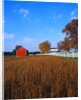 Farm in Autumn by Anonymous