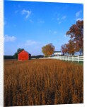 Farm in Autumn by Anonymous