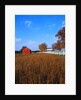 Farm in Autumn by Anonymous