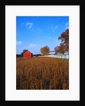 Farm in Autumn by Anonymous