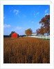 Farm in Autumn by Anonymous