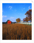 Farm in Autumn by Anonymous