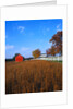 Farm in Autumn by Anonymous