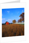 Farm in Autumn by Anonymous