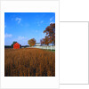 Farm in Autumn by Anonymous