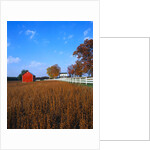 Farm in Autumn by Anonymous