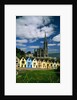 St. Coleman's Cathedral of Cobh Behind Colorful Row Houses by Anonymous
