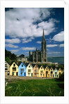 St. Coleman's Cathedral of Cobh Behind Colorful Row Houses by Anonymous
