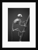 Primate Skeleton on Display by Anonymous