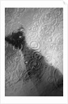 Raindrop Ripples on Fish Underwater by Anonymous