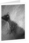 Raindrop Ripples on Fish Underwater by Anonymous