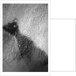 Raindrop Ripples on Fish Underwater by Anonymous