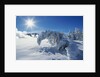 Snow on Trees at Lower Geyser Basin by Anonymous