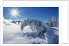 Snow on Trees at Lower Geyser Basin by Anonymous