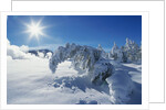 Snow on Trees at Lower Geyser Basin by Anonymous