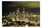 Metropolitan Singapore at Night by Anonymous