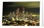 Metropolitan Singapore at Night by Anonymous
