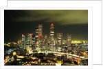 Metropolitan Singapore at Night by Anonymous