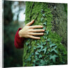 Tree Hugger by Anonymous