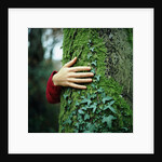 Tree Hugger by Anonymous