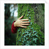 Tree Hugger by Anonymous