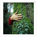 Tree Hugger by Anonymous