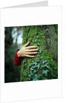 Tree Hugger by Anonymous