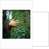 Tree Hugger by Anonymous