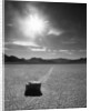 Rock at Racetrack Playa by Anonymous
