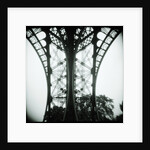 Detail of Eiffel Tower by Anonymous