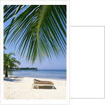 Deck Chairs on Beach by Anonymous