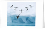 Penguins Jumping into Water by Anonymous