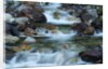Rocky Stream by Anonymous