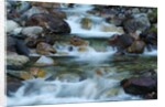 Rocky Stream by Anonymous