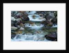 Rocky Stream by Anonymous