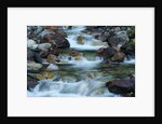 Rocky Stream by Anonymous