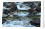 Rocky Stream by Anonymous