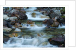 Rocky Stream by Anonymous