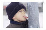 Boy Putting Tongue to Frozen Pole by Anonymous