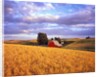 Barn Surrounded by Fields by Anonymous