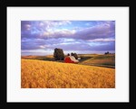 Barn Surrounded by Fields by Anonymous