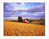 Barn Surrounded by Fields by Anonymous