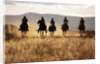 Cowboys Galloping Horses in Field by Anonymous
