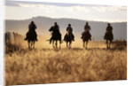 Cowboys Galloping Horses in Field by Anonymous