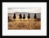 Cowboys Galloping Horses in Field by Anonymous